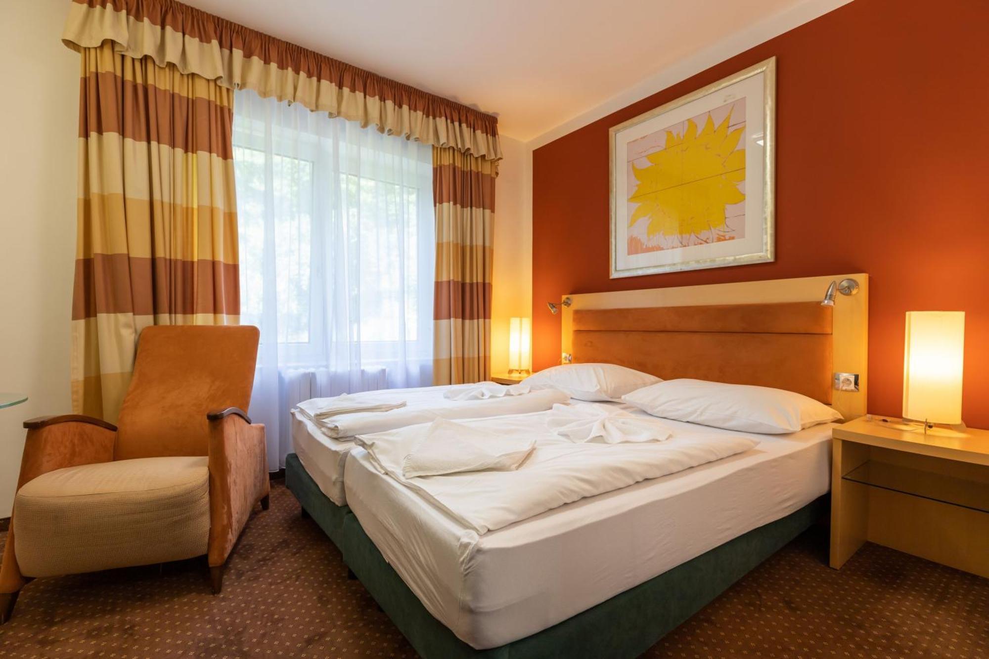 Active & Wellness Hotel Subterra オストロフ 部屋 写真